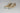 SERENDIPITY - Sneakers beige con particolari marroni